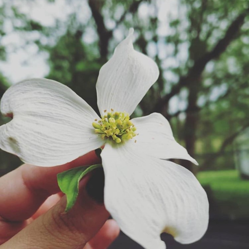 Meet your Posher, Ray